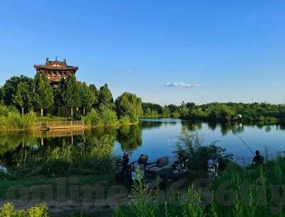 牛来了平台炸金花辅助-牛来了平台炸金花辅助，提升游戏策略与乐趣的利器